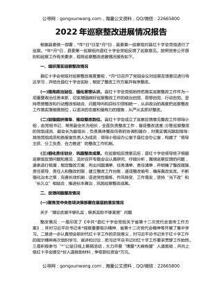 2022年巡察整改进展情况报告