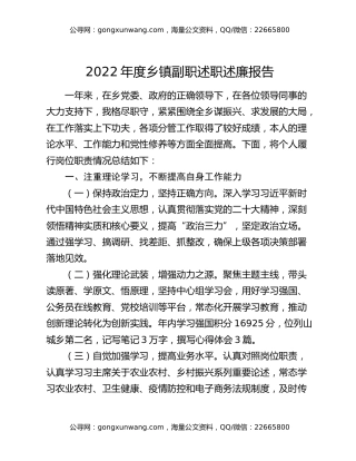 2022年度乡镇副职述职述廉报告
