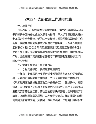 2022年支部党建工作述职报告