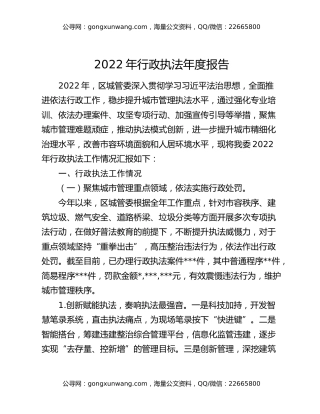 2022年行政执法年度报告