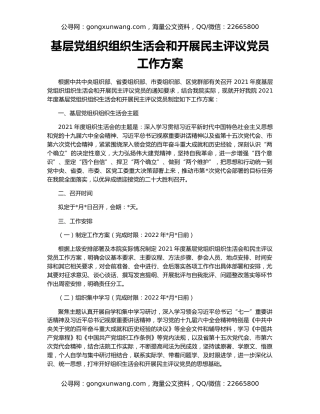 基层党组织组织生活会和开展民主评议党员工作方案