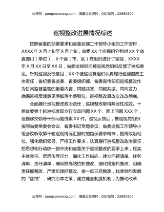 巡视整改进展情况综述