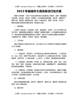2023年县城市大清洗保洁行动方案