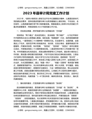 2023年县审计局党建工作计划