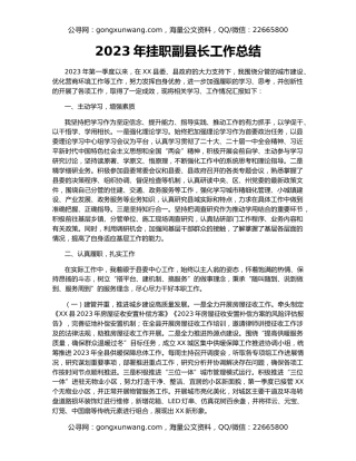 2023年挂职副县长工作总结