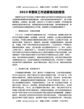 2023年整体工作进展情况的报告