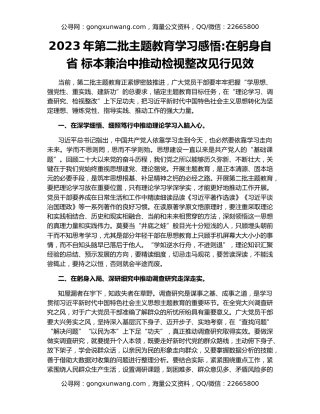 2023年第二批主题教育学习感悟在躬身自省 标本兼治中推动检视整改见行见效