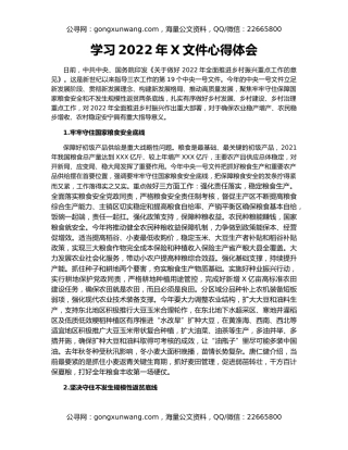 学习2022年X文件心得体会