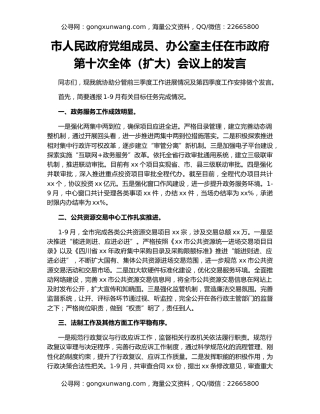 市人民政府党组成员、办公室主任在市政府第十次全体（扩大）会议上的发言