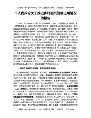 市人民政府关于推进乡村振兴战略进展情况的报告