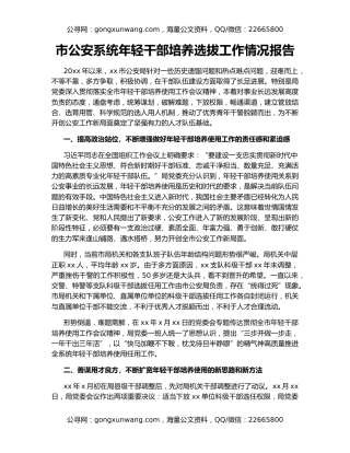 市公安系统年轻干部培养选拔工作情况报告