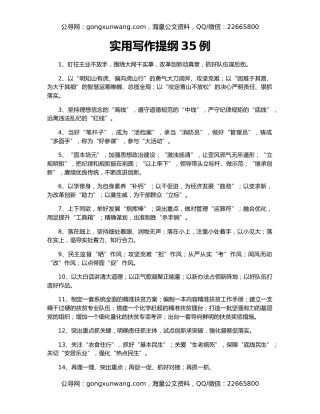 实用写作提纲35例