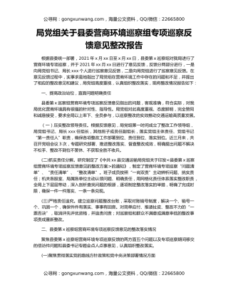 局党组关于县委营商环境巡察组专项巡察反馈意见整改报告