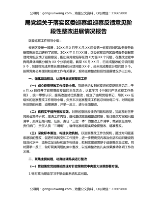 局党组关于落实区委巡察组巡察反馈意见阶段性整改进展情况报告
