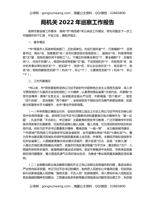 局机关2022年巡察工作报告