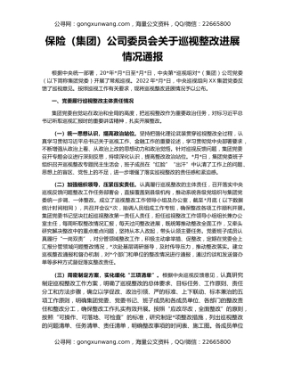 保险（集团）公司委员会关于巡视整改进展情况通报