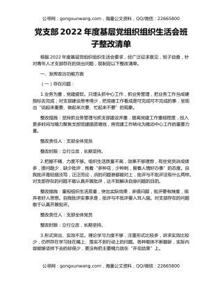 党支部2022年度基层党组织组织生活会班子整改清单