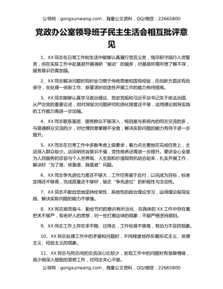 党政办公室领导班子民主生活会相互批评意见