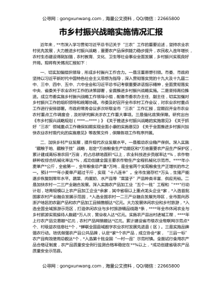 市乡村振兴战略实施情况汇报