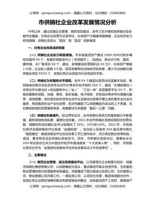 市供销社企业改革发展情况分析