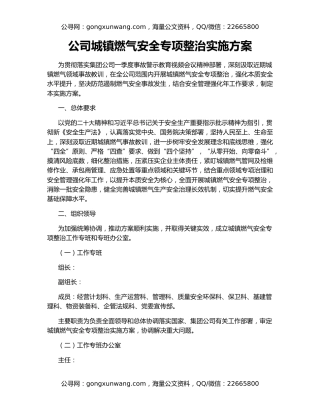 公司城镇燃气安全专项整治实施方案