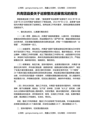 共青团县委关于巡察整改进展情况的报告