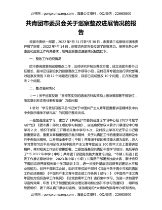 共青团市委员会关于巡察整改进展情况的报告