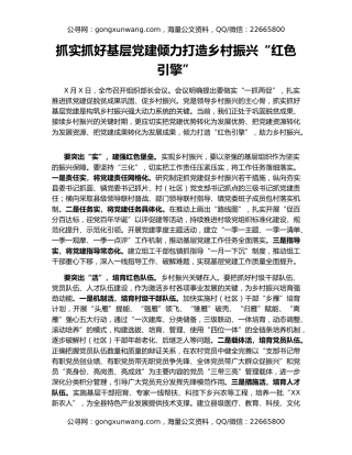 抓实抓好基层党建倾力打造乡村振兴“红色引擎”