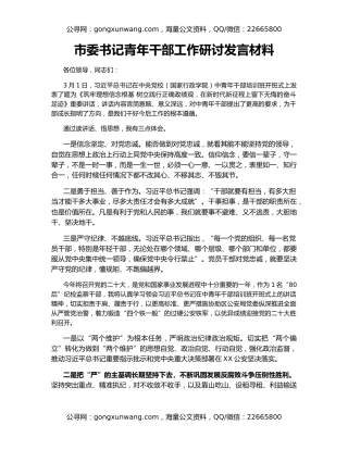 市委书记青年干部工作研讨发言材料