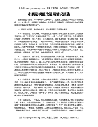 市委巡视整改进展情况报告