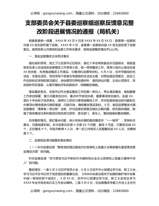 支部委员会关于县委巡察组巡察反馈意见整改阶段进展情况的通报（局机关）