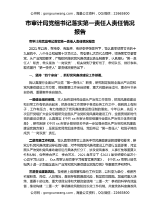 市审计局党组书记落实第一责任人责任情况报告