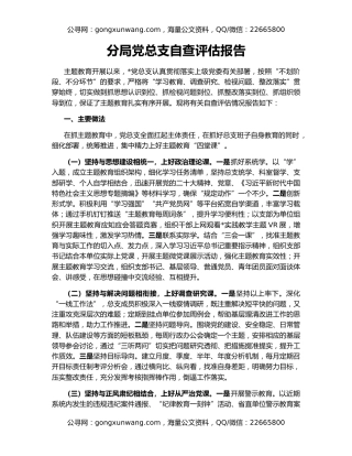 分局党总支自查评估报告