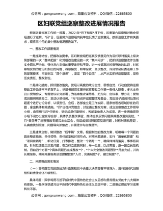 区妇联党组巡察整改进展情况报告