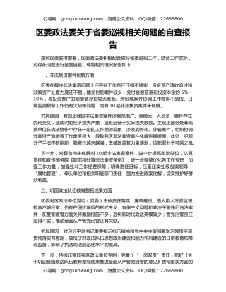 区委政法委关于省委巡视相关问题的自查报告