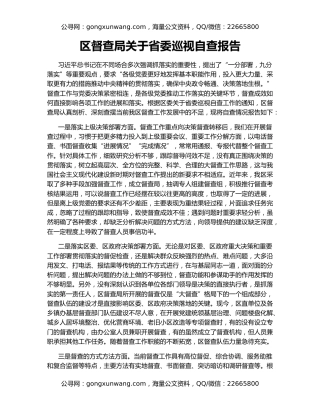 区督查局关于省委巡视自查报告