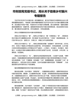 市财政局党组书记、局长关于助推乡村振兴专题报告