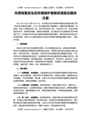 市贯彻落实生态环境保护督察反馈意见整改方案