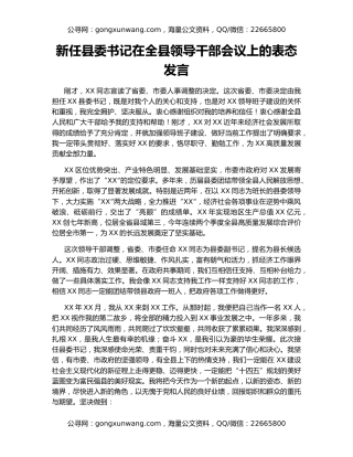 新任县委书记在全县领导干部会议上的表态发言