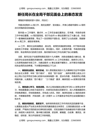 新任局长在全局干部见面会上的表态发言