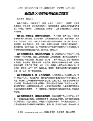 新当选X镇党委书记表态发言
