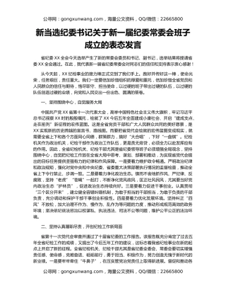 新当选纪委书记关于新一届纪委常委会班子成立的表态发言