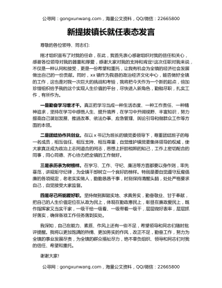 新提拔镇长就任表态发言