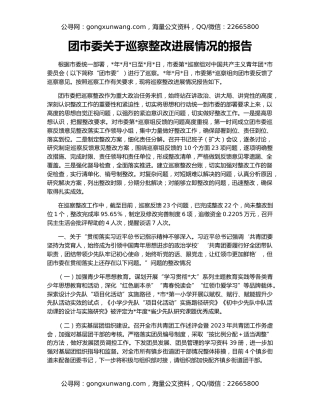 团市委关于巡察整改进展情况的报告