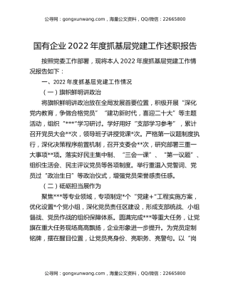 国有企业2022年度抓基层党建工作述职报告