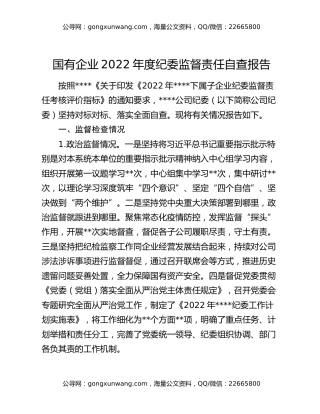 国有企业2022年度纪委监督责任自查报告