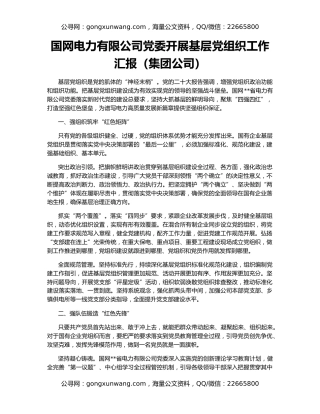 国网电力有限公司党委开展基层党组织工作汇报（集团公司）
