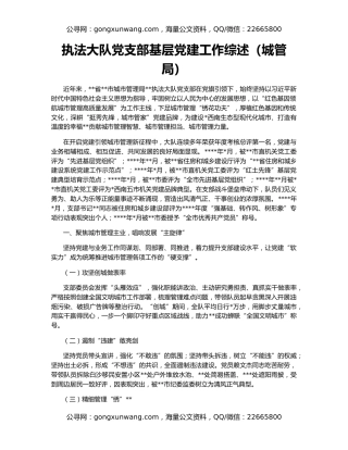 执法大队党支部基层党建工作综述（城管局）