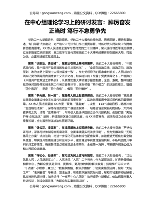在中心组理论学习上的研讨发言：踔厉奋发正当时 笃行不怠勇争先