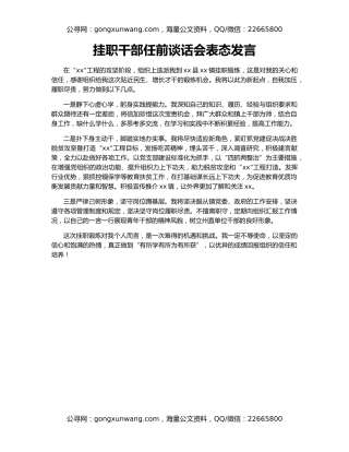 挂职干部任前谈话会表态发言